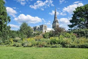 Photo 10- click for photo gallery